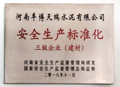 安全生產(chǎn)標準化三級企業(yè)